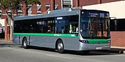 Thumbnail for Buses in Perth