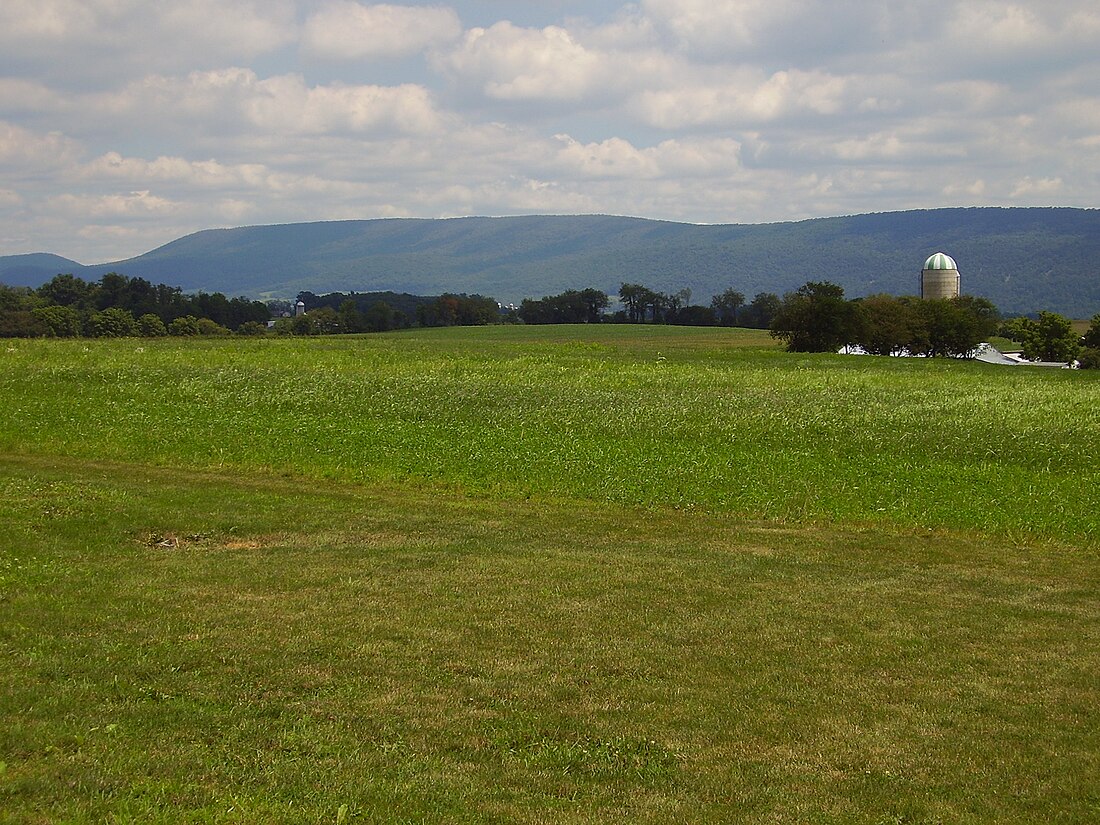 Tussey Mountain