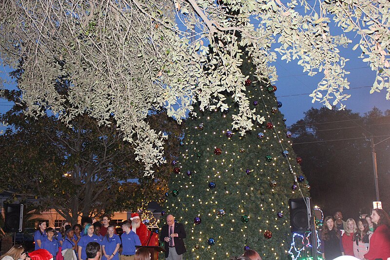 File:Valdosta 2016 Tree Lighting Ceremony 06.jpg