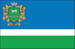 Прапор Верхньодніпровського району
