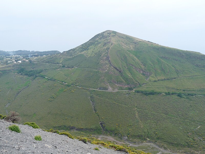 File:Vulcano Island-Vegetation (5).jpg