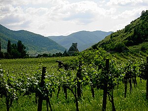 Wachau: Name, Geographie, Geschichte