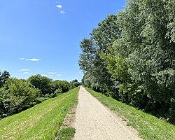 Wał przeciwpowodziowy nad Wisłą