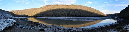 The West Looe River and Trenant Wood West Looe River and Trenant Wood.jpg