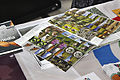 wmcz_old:Soubor:Wikimedia Czech Republic at Book Fair 2013 Ostrava 6.jpg