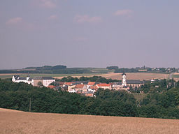 Die Stadt Wildenfels