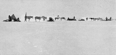 Photograph of ponies, tents, and men in distant profile