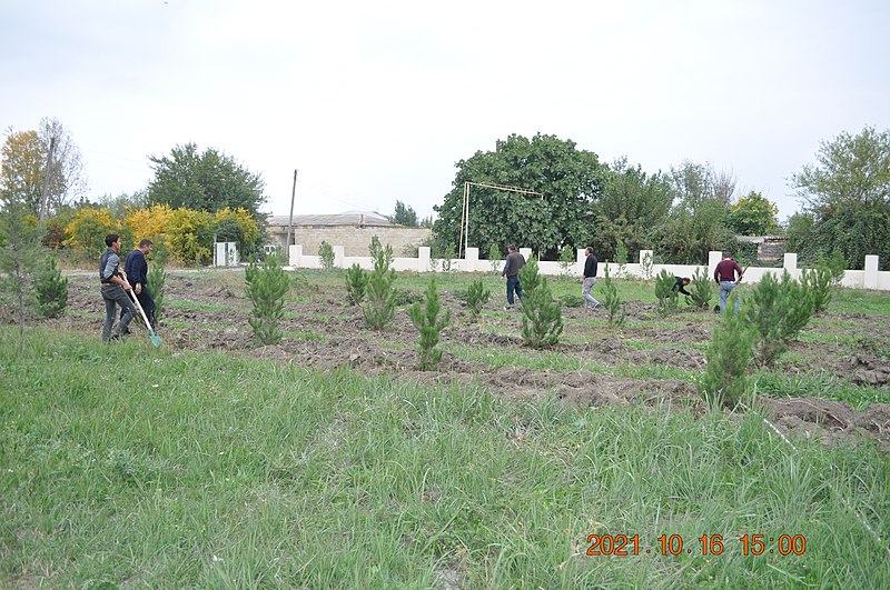 File:Yeni Daşkənddə Vətən şəhidləri abidəsinin bağı.jpg