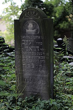 Zabrze cmentarz żydowski DSC 5294.jpg