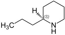 Chemical structure of one of the two enantiomers, the (S)-(+) isomer, of coniine, where natural mixtures are considered likely racemates (equal mixtures) of this and the (R)-(-) isomer. (S)-Coniine Structural Formula V.1.svg