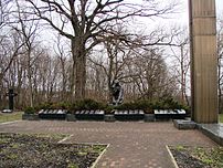 Братська могила воїнів, які загинули в Другій світовій війни, смт Іванків, у парку