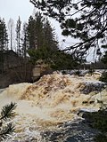 Миниатюра для Файл:Водопад Кивач в Карельском лесу.jpg