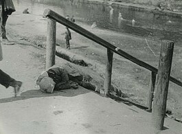 Мёртвый ребёнок на улице Харькова. Снимок А. Винербергера, 1933 год