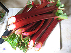 Storebought rhubarb stalks
