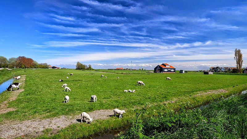 File:1156 Marken, Netherlands - panoramio (13).jpg