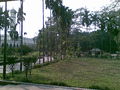 Grave of National Poet Kazi Nazrul Islam.