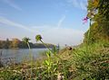 Hockenheimer Rheinbogen, Oktober 2012