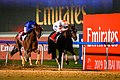 2019 Dubai World Cup