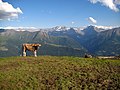 Deutsch: Schauen vom Fiescheralp, Schweiz English: View from Fiescheralp, Switzerland Camera location 46° 25′ 40.9″ N, 8° 06′ 53.7″ E  View all coordinates using: OpenStreetMap