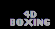 Miniatura para 4D Sports Boxing
