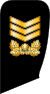 韓國海軍: 組織架構, 軍階, 主要武器裝備