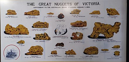 A chart showing the Great Nuggets of Victoria at Museums Victoria