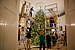 A team of volunteers decorates the official White House Christmas Tree in the Blue Room of the White House.jpg