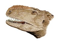 Däsinot elafa Abelisaurus comahuensis.