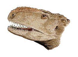 A Abelisaurus comahuensis profilja.