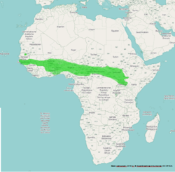 Distribución del estornino colibronceado en África