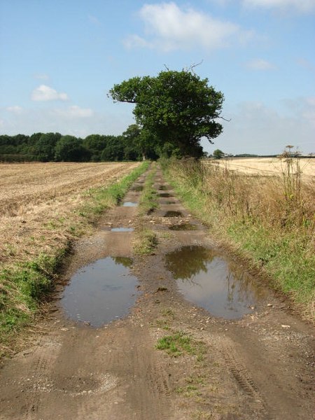 File:After the shower - geograph.org.uk - 534886.jpg