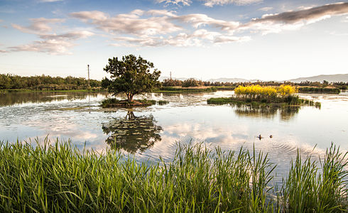 Pool of Cortalet, marshes of Empordà © Mikipons