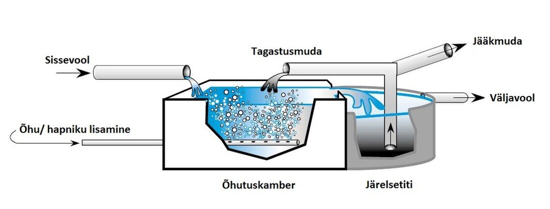 Aktiivmudaprotsess