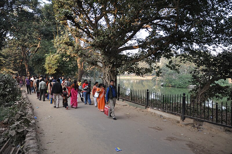 File:Alipore Zoological Garden - Kolkata 2011-01-09 0080.JPG