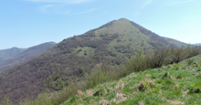 Il monte Alpesisa dal monte Cornua