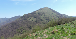 Alpesisa depuis le mont Cornua.png