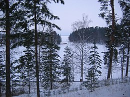 Anitsanlahti in Winter.JPG