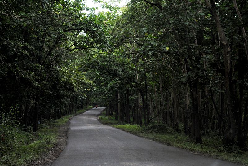 File:Anshi National Park drive.jpg