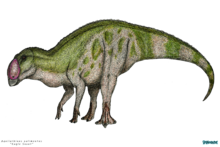 File:Gorgosaurus BW transparent.png - Wikipedia