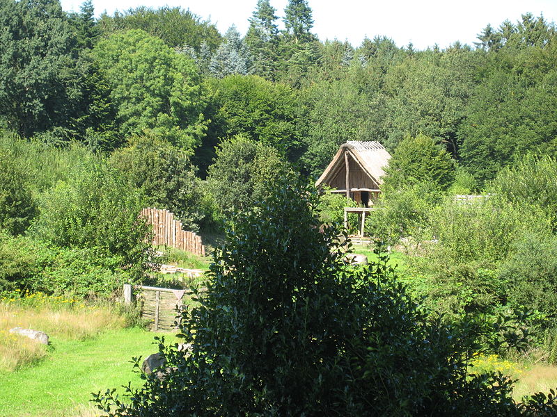 File:Archäologisch-Ökologisches Zentrum Albersdorf IMG 0167.JPG