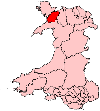 <span class="mw-page-title-main">Arfon (UK Parliament constituency)</span> UK Parliamentary constituency, 2010–2024