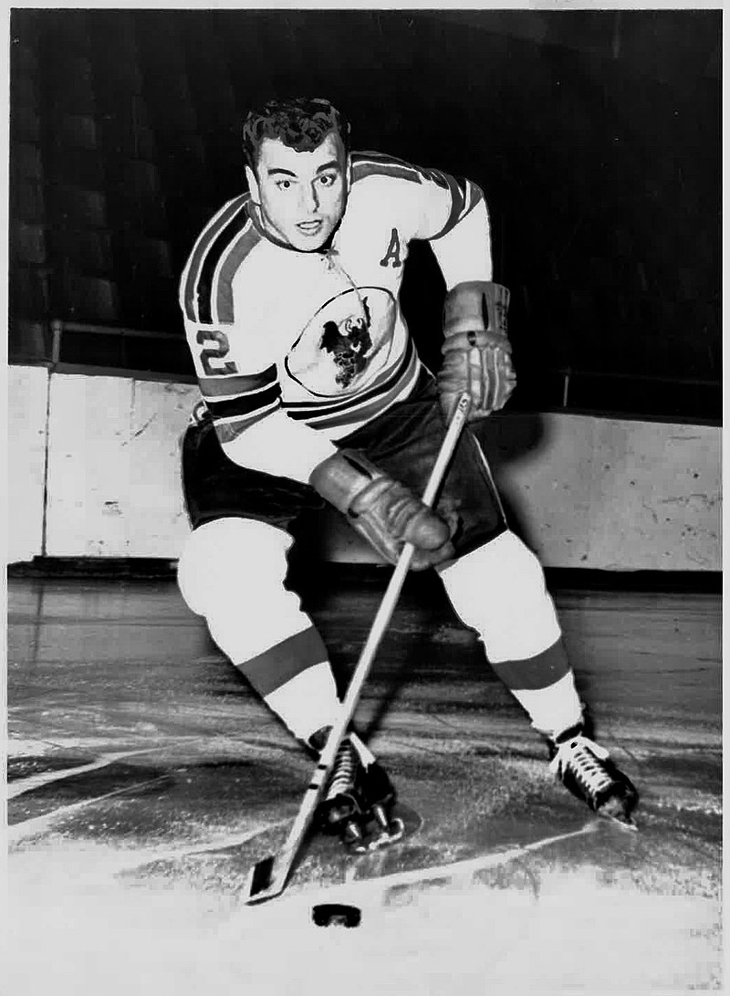 1962-63 NHL season, Ice Hockey Wiki