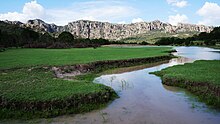 Stream in the Sierra de Cardos, part of the Sierra Madre Occidental.