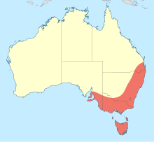 Austrolestes cingulatus distribuzione map.svg