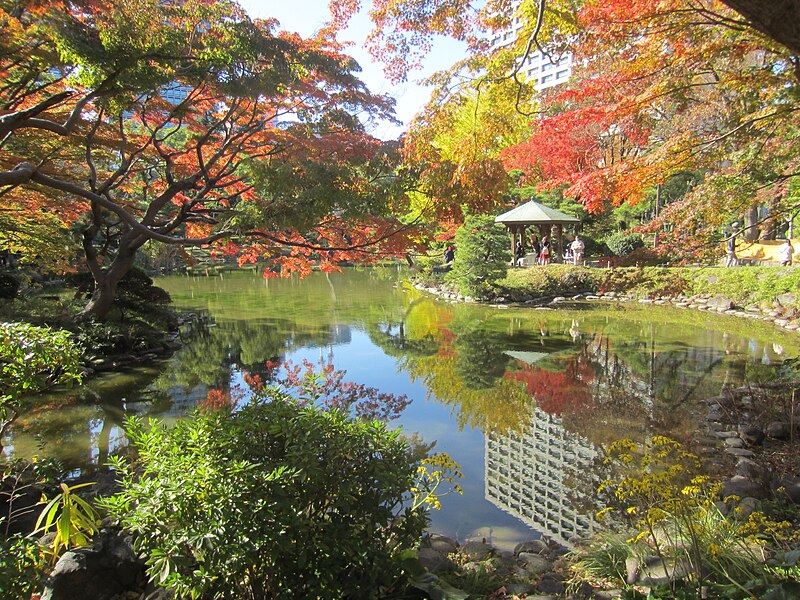 File:Autumn colors around a pond in Hibiya Park in Tokyo, 2019 - 352.jpg