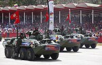 BTR-80A VEN.jpg