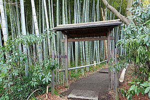 Bamboo grove - Eishō-ji - Kamakura, Kanagawa, Japan - DSC08147.JPG