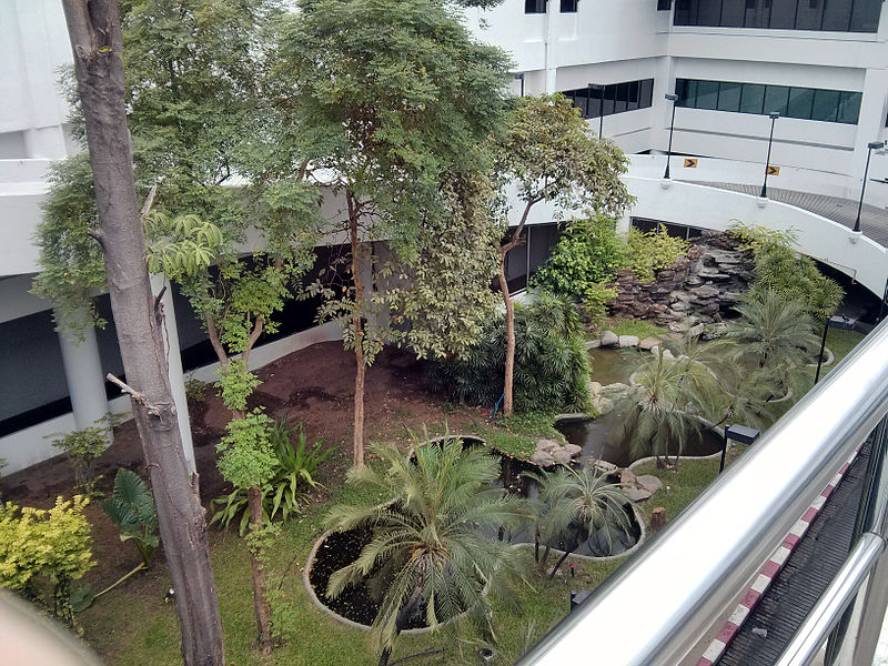 File:Bangkok DMK PlantsBetweenTerminals 2013.jpg