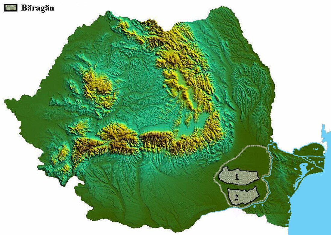 Bărăgan Plain