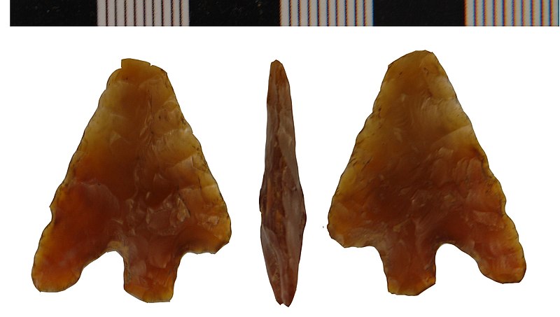 File:Barbed and Tanged Arrowhead from Swinhope (FindID 431660).jpg